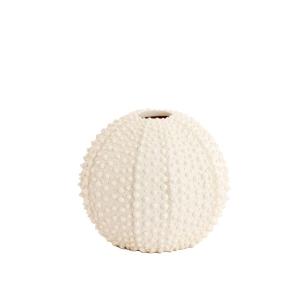 Vase deco SEA URCHIN  cream