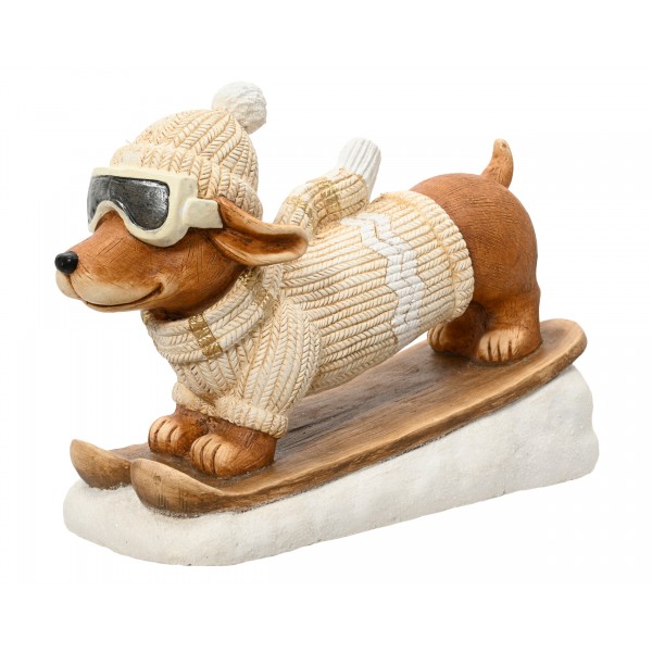 Dog magnesium skiing