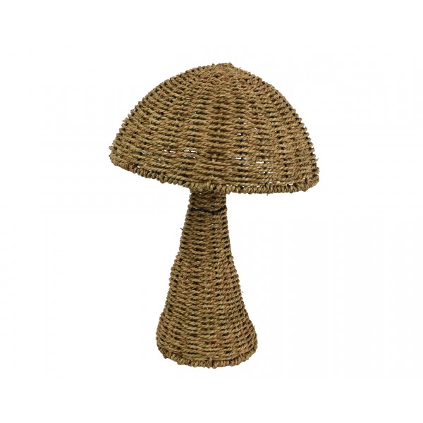 Mushroom waterhyacint