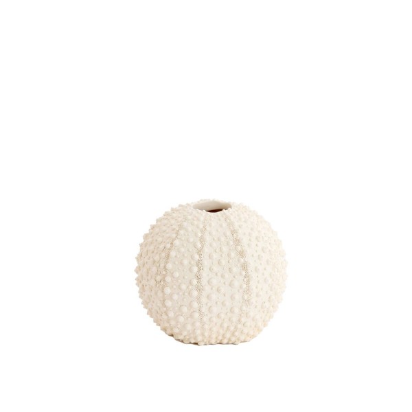 Vase deco SEA URCHIN  cream