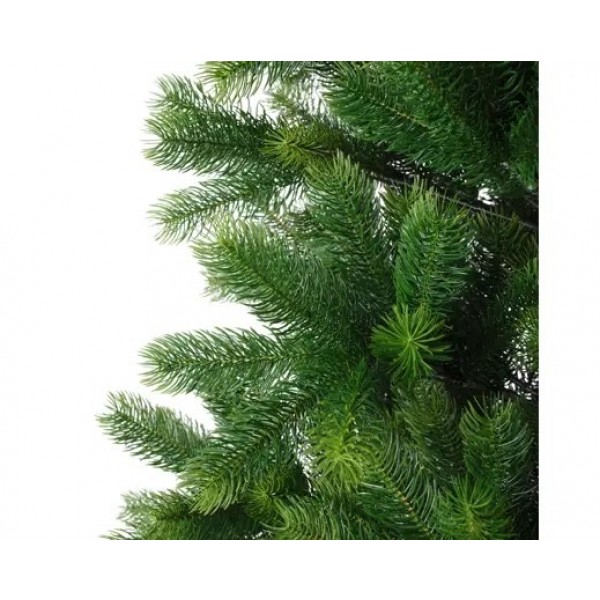 KENMORE FIR 240CM
