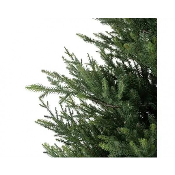 NORWAY SPRUCE 270CM