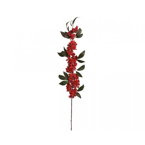 Berry spray foam