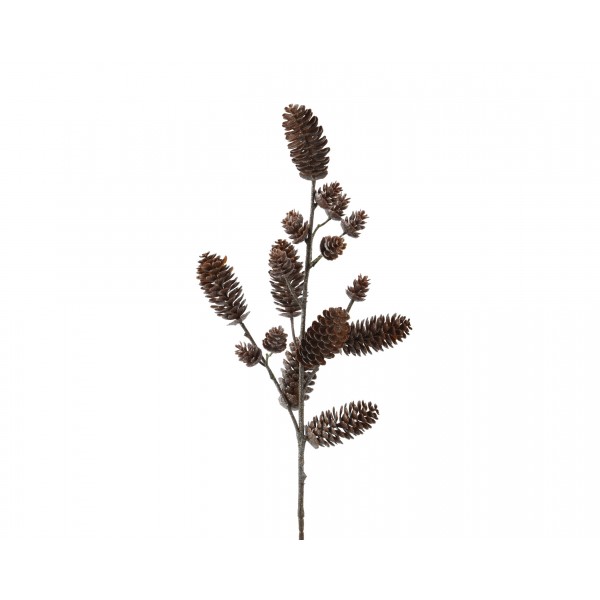 Pinecone plastic
