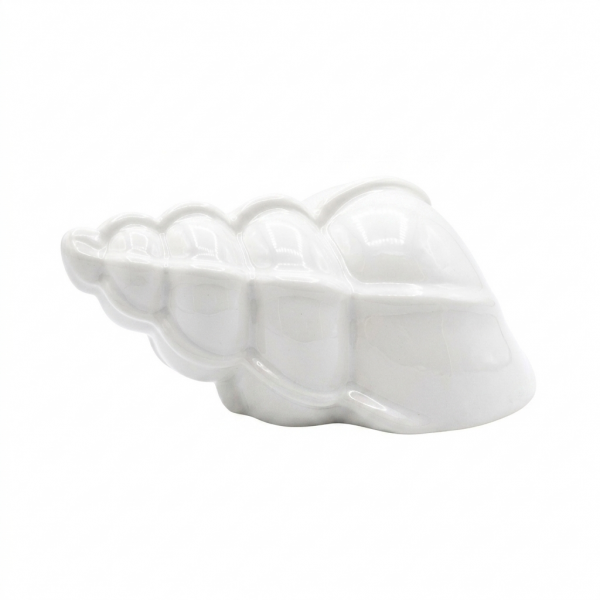 Shell porcelain