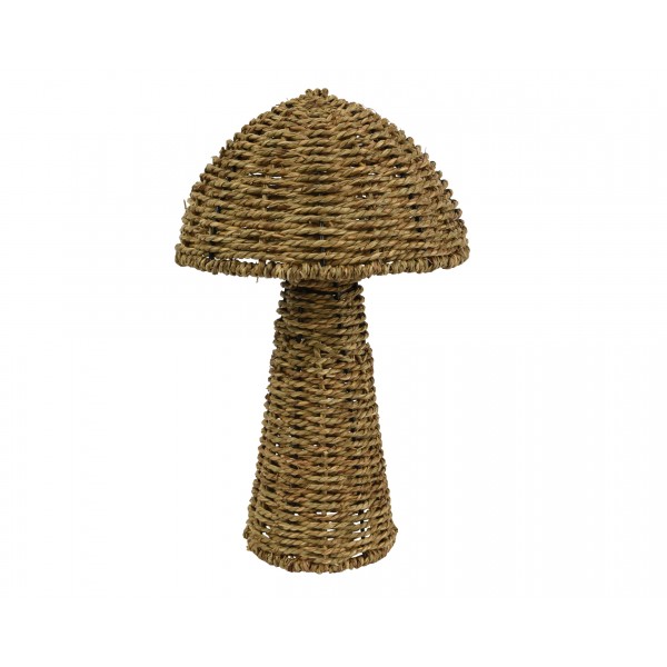 Mushroom waterhyacint