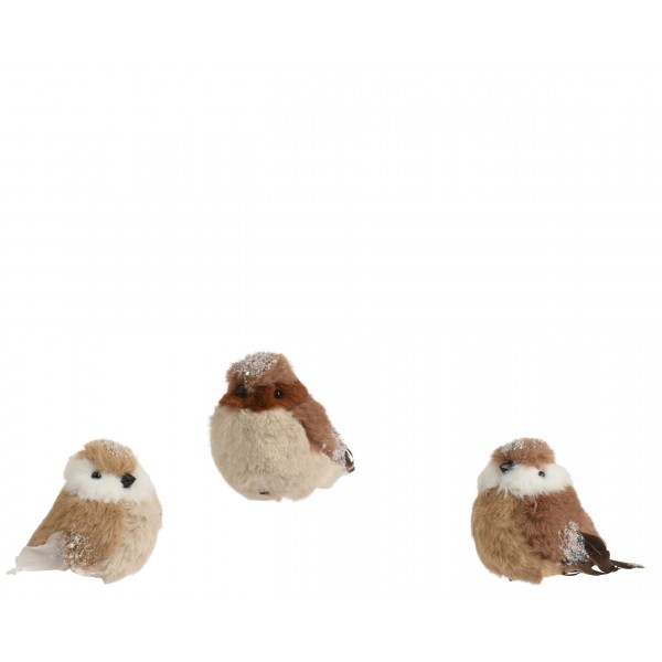 Bird polyester