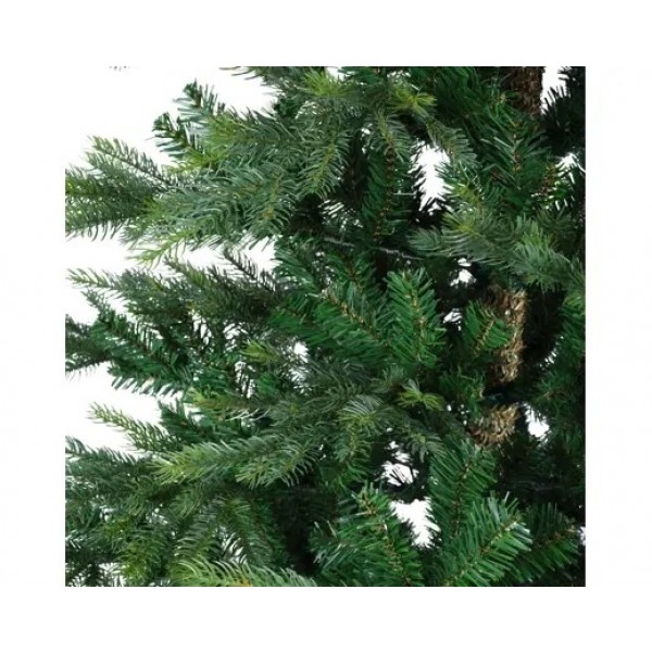 Grandis fir D.193cm H.360cm