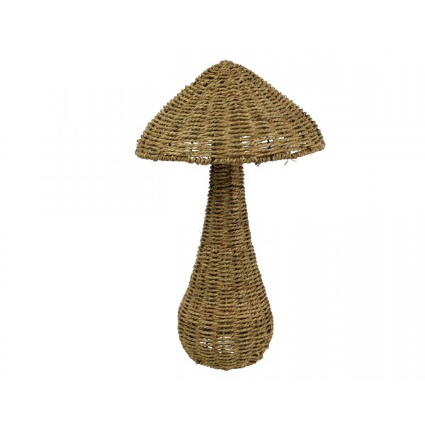 Mushroom waterhyacint