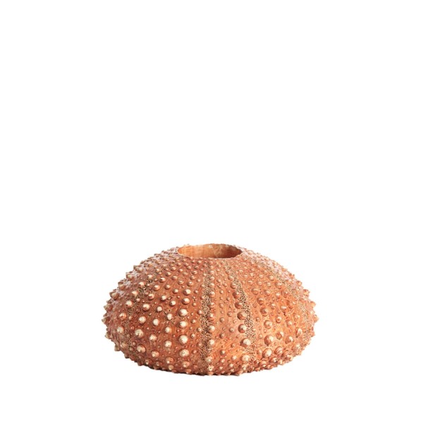 Tealight holder SEA  URCHIN red